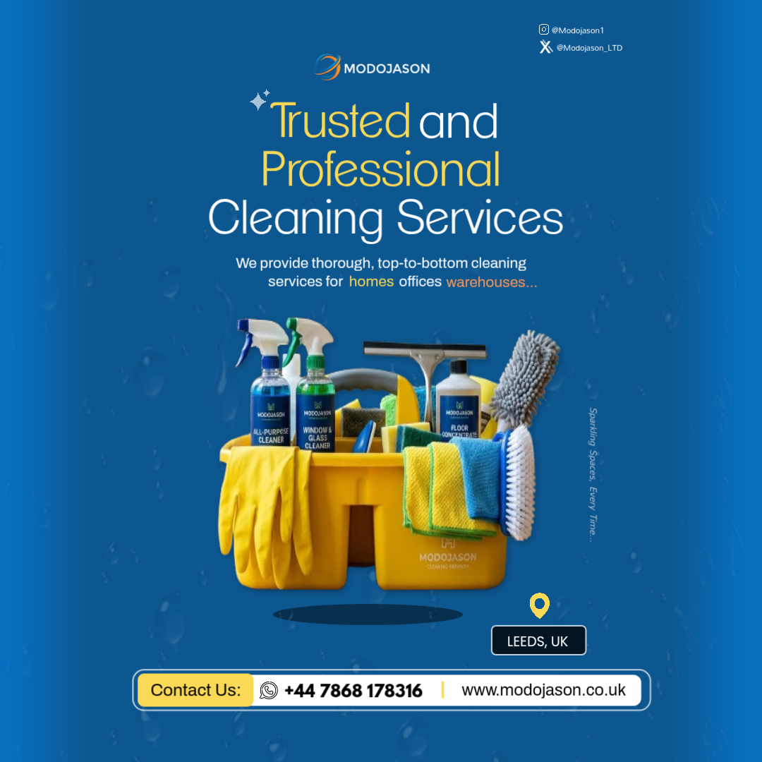 Professional cleaner